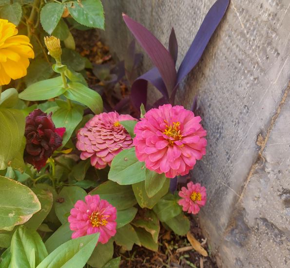 سایت حس پرواز